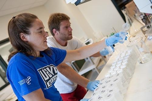 Two students researching